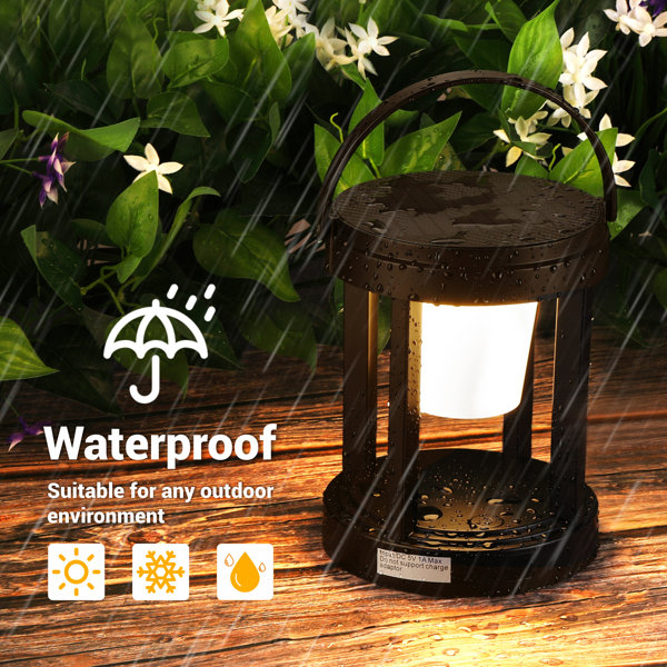 RIDALUX 7.08'' Battery Powered Integrated LED Color Changing Outdoor Lantern & Reviews Wayfair